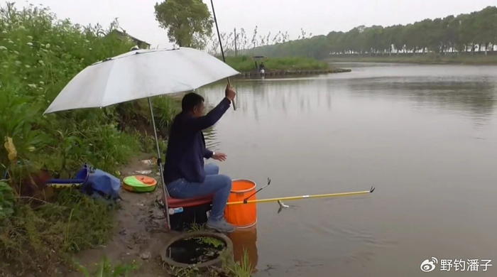 华体会手机网页版-老祖宗传的24字钓鱼谚语，吃透了，春夏秋冬钓啥鱼都不白跑|太阳|钓鱼技巧|水温|雨后|深水区_新浪体育_新浪新闻